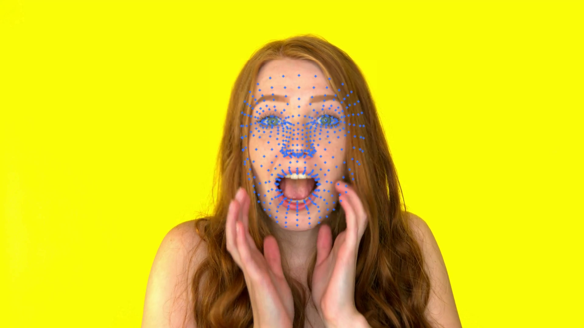 face_mesh