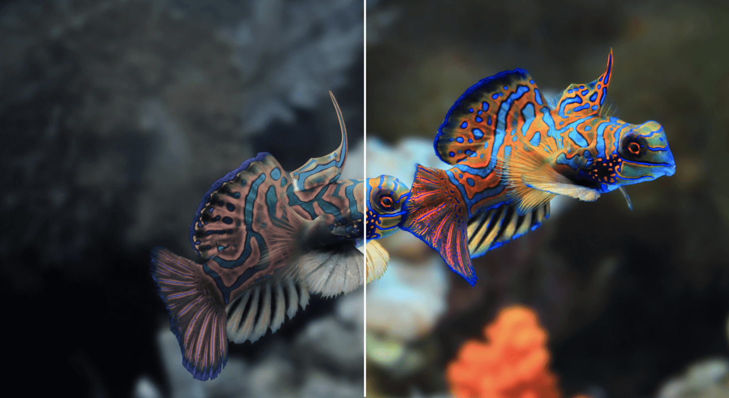 AI-powered depth-aware color correction for subaquatic drones